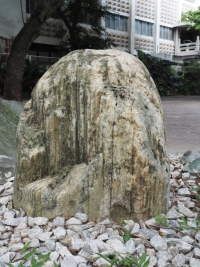 大理岩