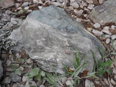 蛇紋岩